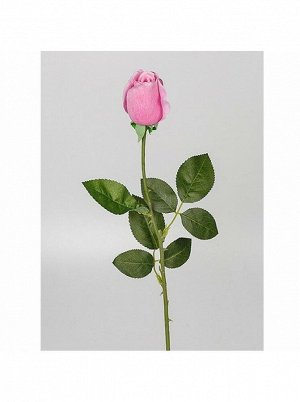 Роза 66 см розовый 1 шт