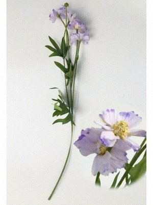 Цветок Космея дваждыперистая 46 см сиреневый HS-31-2