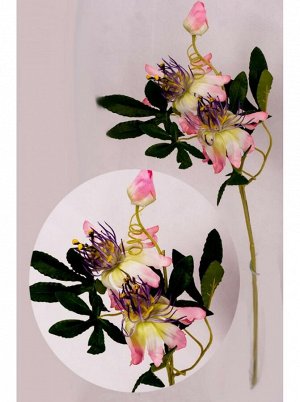 Цветок Глориоза 57 см цвет розовый