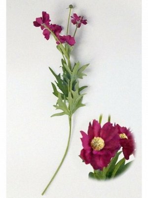 Цветок Космея дваждыперистая 46 см сливовый HS-31-2