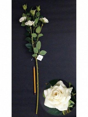Роза кустовая 67 см цвет белый HS-31-9