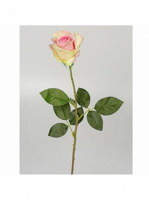 Роза Диана 66 см 1 шт цв желтый с розовым