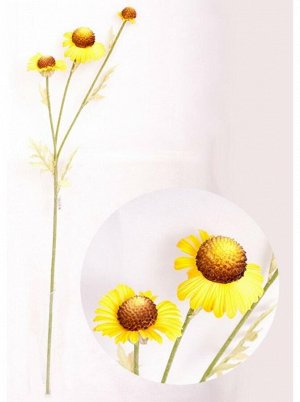 Хризантема корейская (медовые соты) цвет желтый 80см
