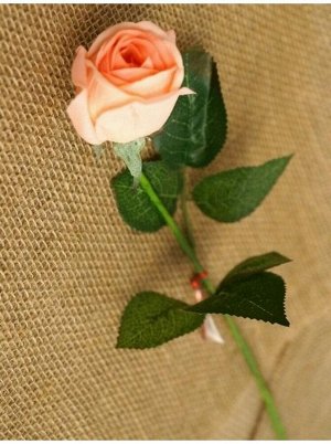 Роза бутон 44 см цвет персиковый