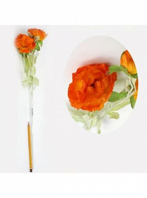 Лютик пионовидный 3 цветка 55 см цвет оранжевый HS 19-2