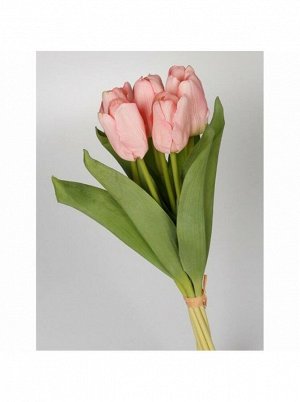 Тюльпаны в букете 36 см 7 шт нежно - розовый