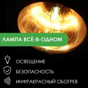 Лампа инфракрасная 175 Вт Inter Heat, Е27 R125, закаленное стекло, прозрачная