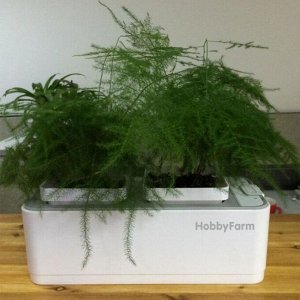 Гидропонная установка HobbyFarm Mini