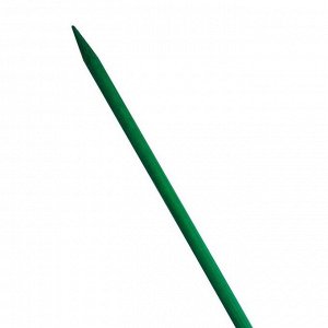 Опора для растений, h = 60 см, d = 5 мм, бамбук окрашенный, набор 12 шт., зелёный