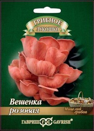 Грибы Вешенка Розовая (Код: 88361)