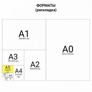 Ежедневник недатированный А5 138х213 мм BRAUBERG "Imperial" под кожу, 160 л., темно-синий, 123413