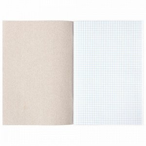 Книга учета 48 л., клетка, обложка из мелованного картона, блок офсет, А4 200х290 мм, STAFF, 130055