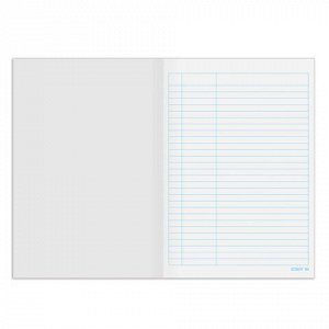 Книга учета 48 л., пустографка, обложка из мелованного картона, блок офсет, А4 200х290 мм, STAFF, 130212