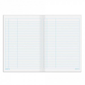 Книга учета 48 л., пустографка, обложка из мелованного картона, блок офсет, А4 200х290 мм, STAFF, 130212