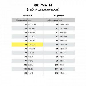 Тетрадь предметная со справочным материалом ORIGINAL 48 л., TWIN лак, ФИЗИКА, клетка, BRAUBERG, 404307