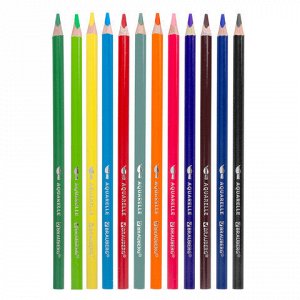 Карандаши цветные акварельные BRAUBERG PREMIUM AQUARELLE, 12 цветов, трехгранные, утолщенный грифель 4 мм, натуральное дерево, 181671