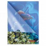 Папка-уголок BRAUBERG SEA WORLD, А4, 150 мкм, цветная печать, 228042