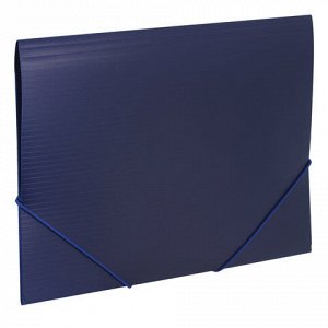 Папка на резинках BRAUBERG “Contract“, синяя, до 300 листов, 0,5 мм, бизнес-класс, 221797