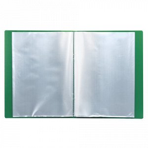 Папка 30 вкладышей BRAUBERG стандарт, зеленая, 0,6 мм, 221597