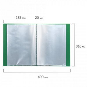Папка 30 вкладышей BRAUBERG стандарт, зеленая, 0,6 мм, 221597