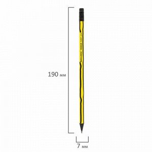 Карандаш чернографитный BRAUBERG "PREMIUM TURKEY", 1 шт., "Lines", НВ, ассорти, дисплей, 181568