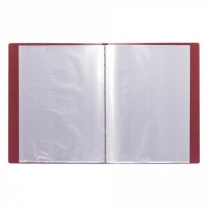 Папка 20 вкладышей BRAUBERG стандарт, красная, 0,6 мм, 221594