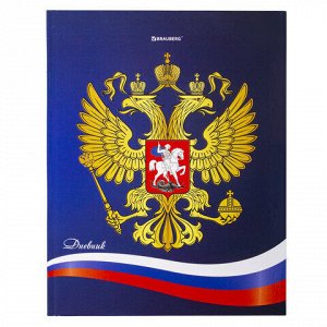 Дневник 5-11 класс 48 л., твердый, BRAUBERG, глянцевая ламинация, с подсказом, "Символика", 106059