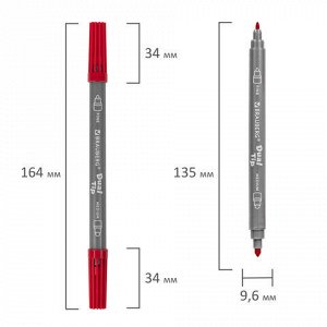 Фломастеры двусторонние BRAUBERG "PREMIUM" "DUAL-TIP", 10 шт., 10 цветов, два наконечника, картонная коробка с европодвесом, 151946