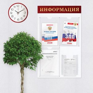 Доска-стенд &quot;Информация&quot; (48х80 см), 3 плоских кармана А4 + объемный карман А5, BRAUBERG, 291100