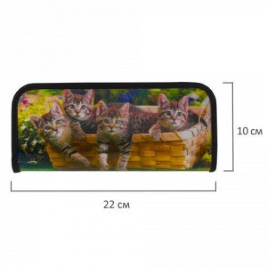 Пенал-косметичка BRAUBERG, с эффектом 3D, пластик, "Котята", 22х10х5 см, 227300