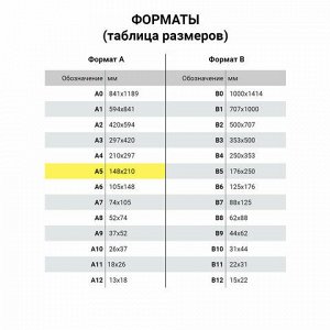 Скетчбук крафт-бумага 80 г/м2, 205х290 мм, 50 л., склейка, жёсткая подложка, BRAUBERG ART DEBUT, 112489