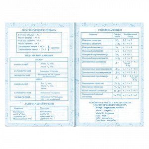 Дневник для музыкальной школы 140х210 мм, 48 л., твердый, BRAUBERG, справочный материал, "Гитара", 104974