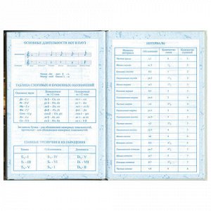 Дневник для музыкальной школы 140х210 мм, 48 л., твердый, BRAUBERG, выборочный лак, справочный материал, "Симфония", 103601