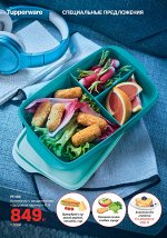 Контейнер Здоровый перекус 1 л 1шт - Tupperware®.