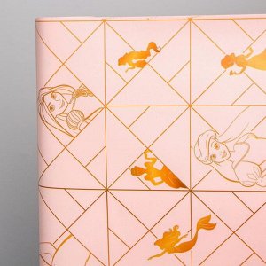 Бумага упаковочная глянцевая двусторонняя , Принцессы,  60x90 см