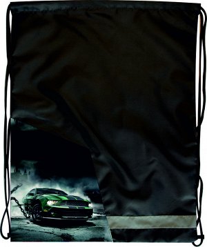 Drive мешок для обуви "Drive" предназначен для детей среднего и старшего возраста от 9 лет,а также молодежи, увеличенный размер позволяет сложить спортивную,молодежную обувь большого размера,  а так ж