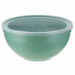Миска пластмассовая 4л, д25,5см, h12,5см, с крышкой, фисташковый (Россия)