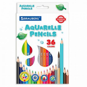 Карандаши цветные акварельные BRAUBERG PREMIUM AQUARELLE, 36 цветов, грифель мягкий 4 мм, 181674