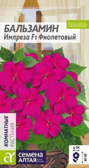Цветы Бальзамин Импреза Фиолетовый/Сем Алт/цп 5 шт.