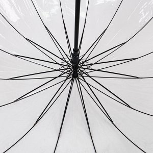 Зонт трость Zemsa 942-1 прозрачный