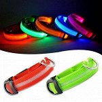 Ошейник LED на батарейках капрон