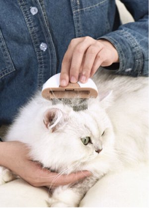 Портативная расческа-щетка для домашних животных