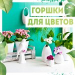 Горшки/ Кашпо/ Ящики🌷