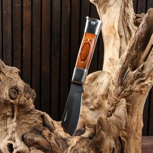 Нож складной Танто, рукоять дерево, 18см, клинок 6,5см