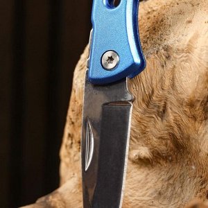 Нож складной "Синяя борода", 16см, клинок 6,5см