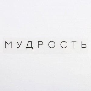 Термонаклейка для текстиля «Мудрость», 19.5 ? 2 см