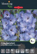 Гладиолус крупноцветковый Коте Д&#039;азур