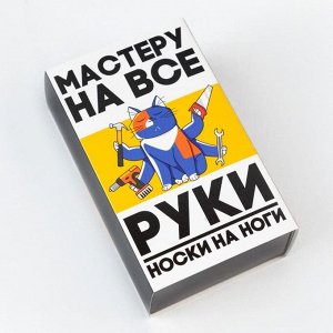 Набор мужских носков "Мастер" 2 пары, размер 41-44 (27-29 см)