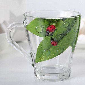 Кружка для чая «Живая природа. Зелёный лист», 250 мл