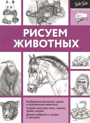 Степанова А.Н. Рисуем животных